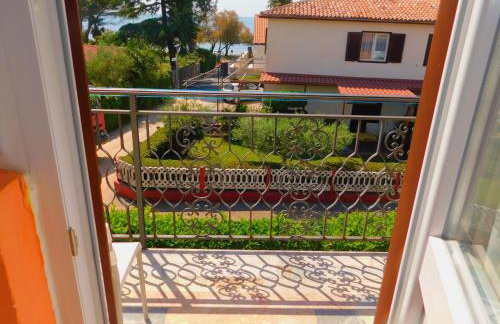 App Palčić K - Photo 25