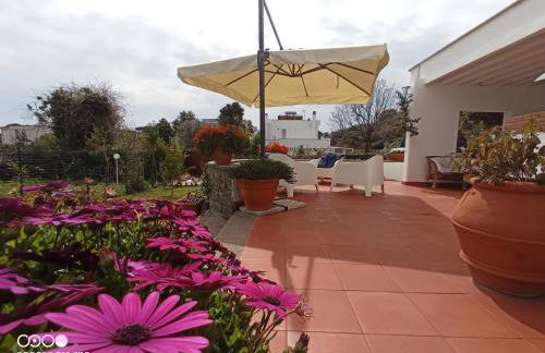 Casa de la Luna - Foto 16