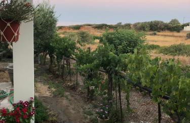 Ambelakia Bungalow - Foto 22