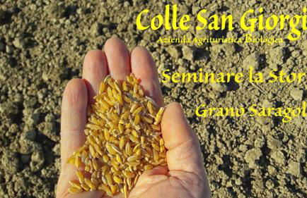 Azienda Agrituristica Colle San Giorgio - Foto 36