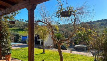 FINCA LAS DEHESILLAS - Foto 4