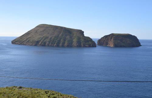 Casinha de Muda da Feteira - Photo 38