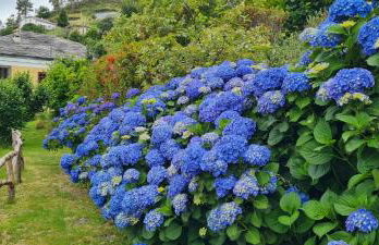Apartamentos Rurales El Bosque de las Viñas - Photo 54