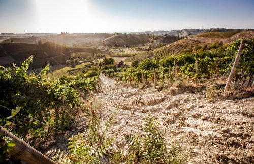 Villa Vinory - La Mandragola - Foto 49