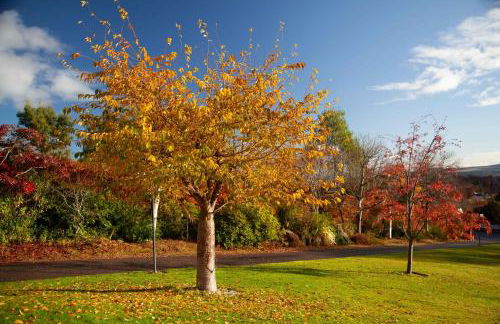 Drumfin Cottage - Foto 20