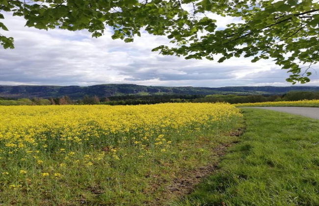 Terrassen-retreat in Sachsen - Foto 32