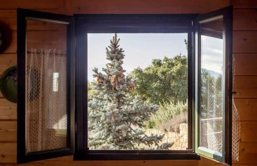 CHALET REGINA - Foto 11