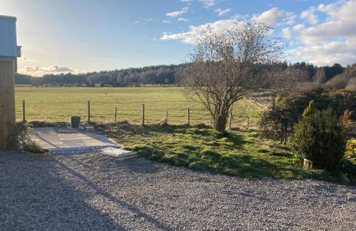 Clashmore Wood - Foto 43