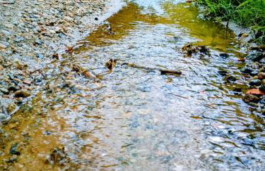 Vila Bamboo secretário - Foto 5