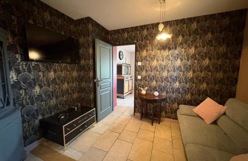 Le cocon en Sologne, Châteaux, Zoo de Beauval, Piscine, WIFI, 2 chambres, 3 lits, 2 sdb - Foto 30