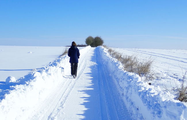 Manor Farm B & B - Foto 56