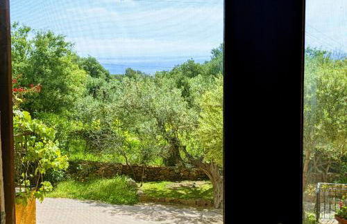 Casa della Balena - Foto 3