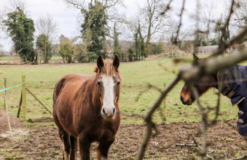 Pringles Orchard - Photo 47