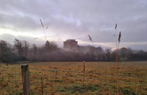 Borthwick Farm Cottage Pottery - Foto 15