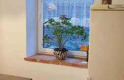 Agroturystyka Wielkie Leźno - Foto 66