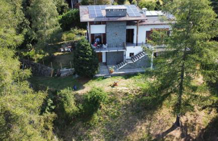 il larice d' oro - Foto 1