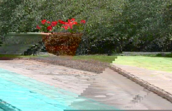 Verdidea - Villa la Felce - Foto 39