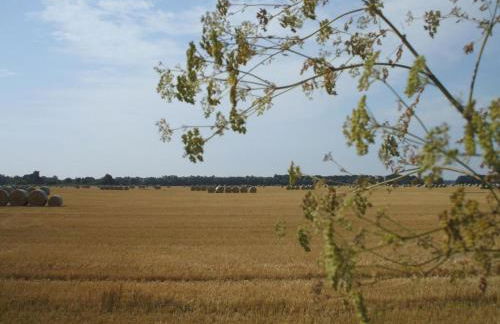 Holiday Home Oderhäuschen by Interhome - Photo 35