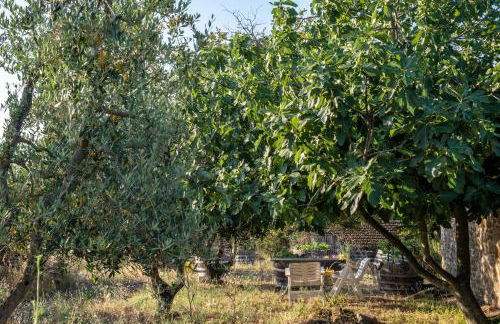 Podere Pruneto - Foto 5