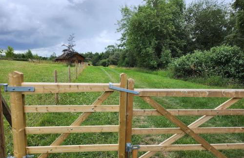 The Meadow - Foto 26