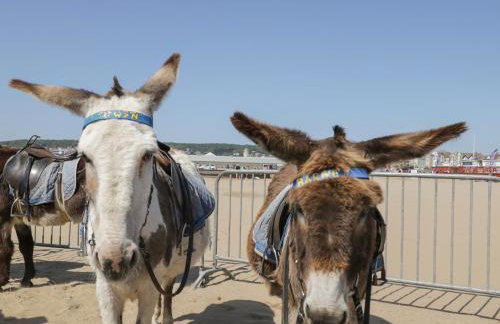 The Studio - Foto 21