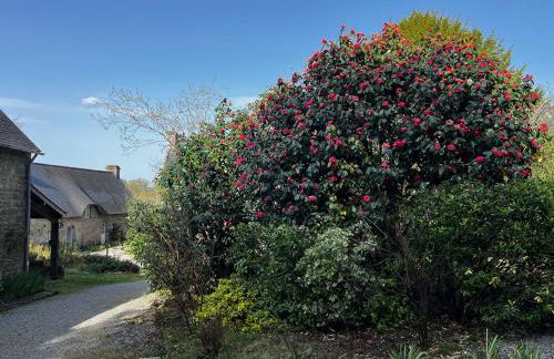 Gîtes du Gohic - L'Ecurie - Foto 36
