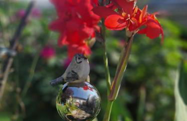 Ferienwohnung Relax - Foto 28