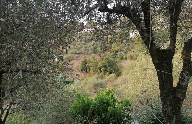 Nonna Paola Guest House - Foto 22