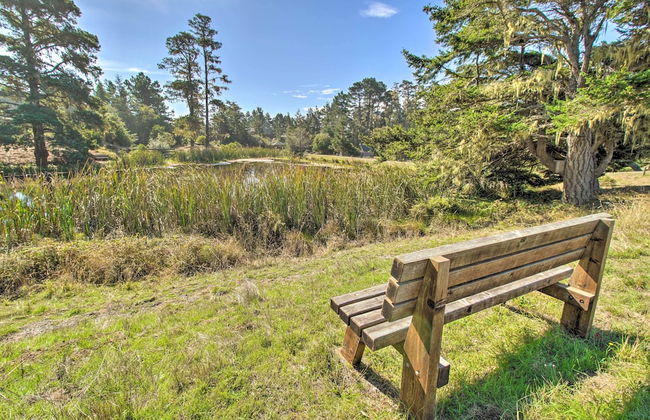 Spectacular Ocean View Retreat w/ Private Beach - Foto 34