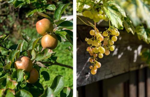 1 Bed in Crickhowell oc-bn079 - Foto 10