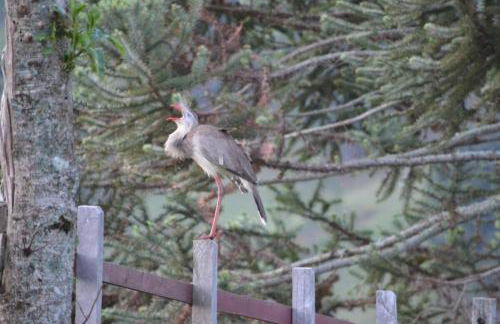 Casa poesia vista maravilhosa em Gonçalves-MG - Foto 52