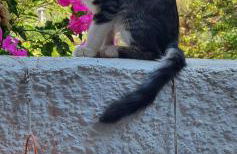 Peace&love-sea studio - Photo 41