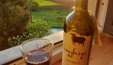 Schwalbennest Kaisitz - Foto 4