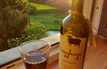 Schwalbennest Kaisitz - Foto 4