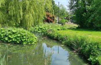 1 Bed in Crakehall oc-ds955 - Foto 20