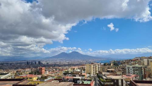 Diana Panoramic Apartment - Photo 3