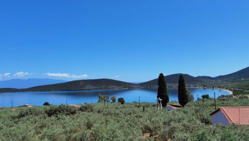 Elaion Thea-Nies - Foto 5