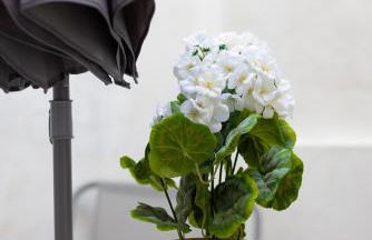 Cozy Flat in the Heart of Camden - Foto 3