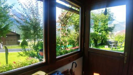 Plodar èscht - Photo 2