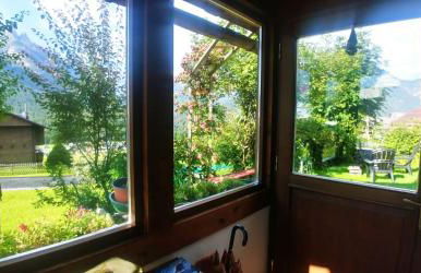 Plodar èscht - Photo 2