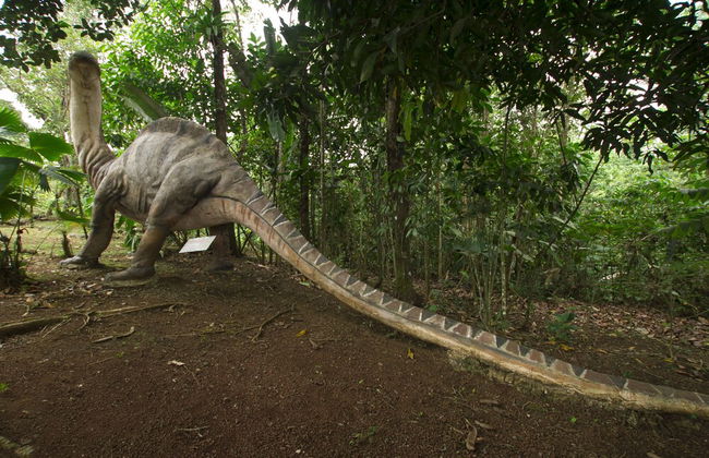 Villas Josipek - Foto 75