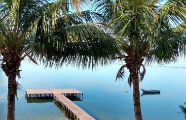 Casa oliveira - Photo 9