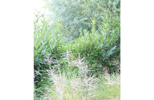 Coastal House Wremen - Foto 6