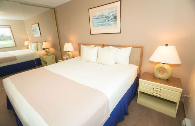 The Grey Gull - Foto 34