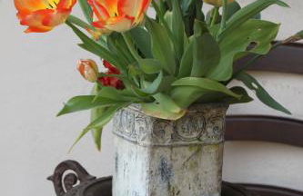 Hazienda Apartmenthotel - Für ein paar Tage oder monatelang - Foto 47