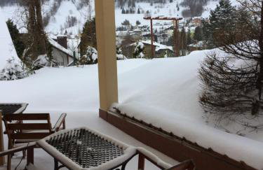 Willa Wierchy - Foto 26