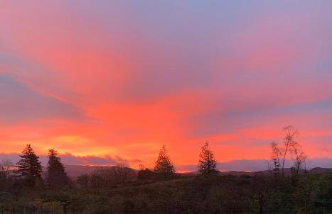 Red Squirrel Pod with Hot Tub - Foto 45