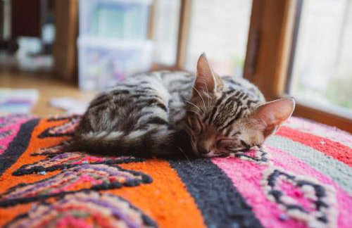 Lavender Farmhouse - Foto 49