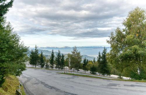 Les sapins 1 - Foto 23