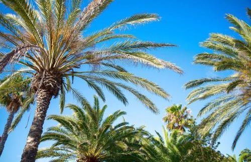 Casa Monroe op Oasis Tamarindo 1 - Photo 21